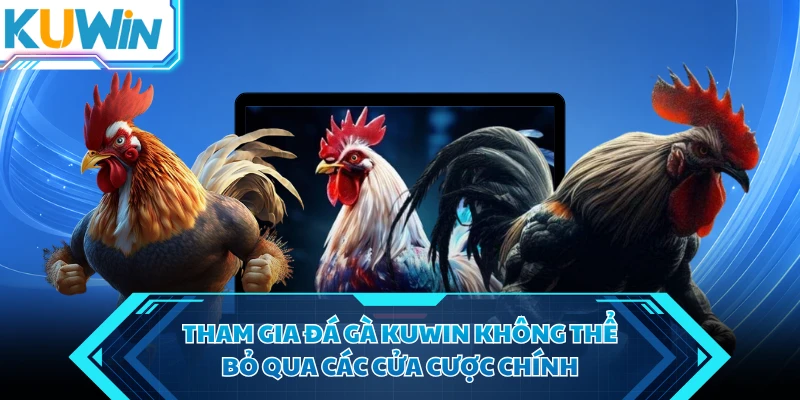 tham gia da ga kuwin khong the bo qua cac cua cuoc chinh